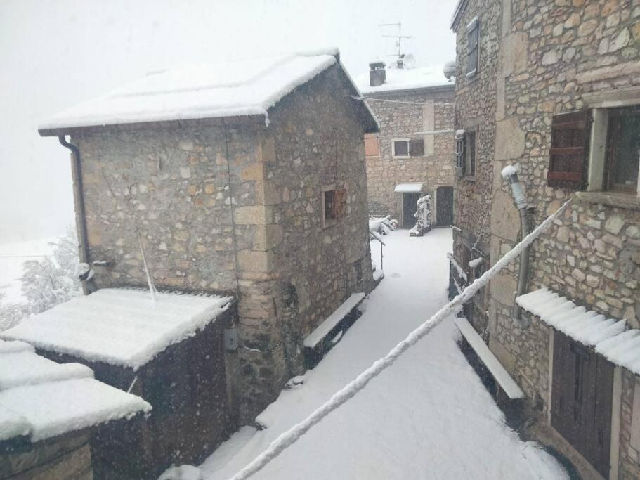 Casa Lia Διαμέρισμα Cascine Εξωτερικό φωτογραφία