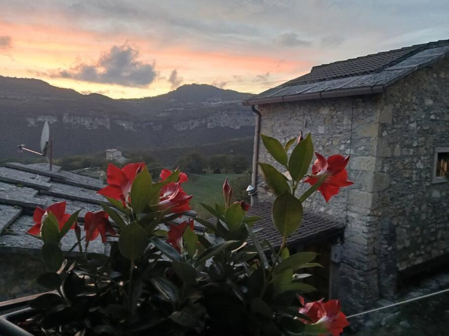 Casa Lia Διαμέρισμα Cascine Εξωτερικό φωτογραφία
